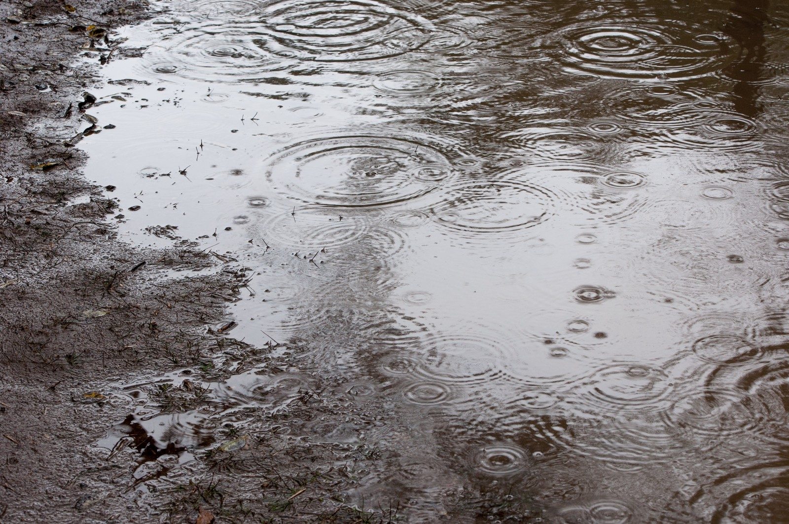 雨漏りを放置すると危険!